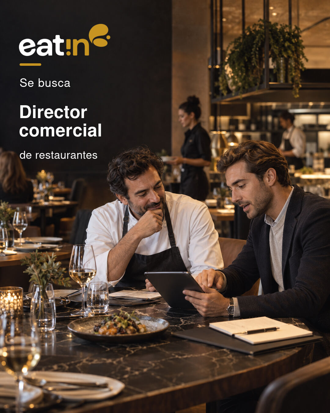 director comercial de restaurantes